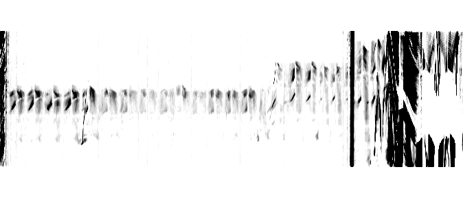 This horizontal motiongram shows the sideways motion of the monkey. Time runs from left to right.