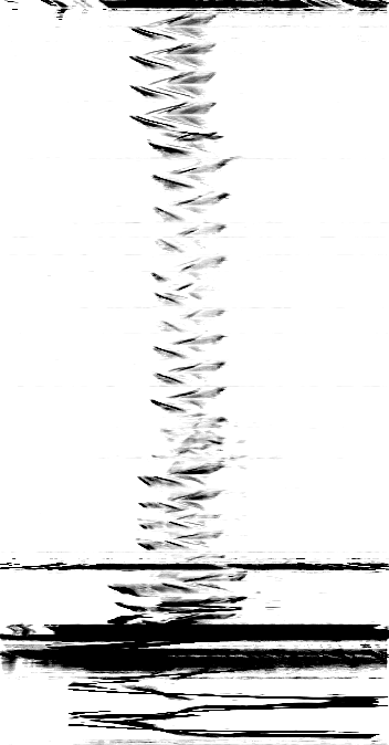 This vertical motiongram reveals the sideways motion of the monkey. Time runs from top to bottom.