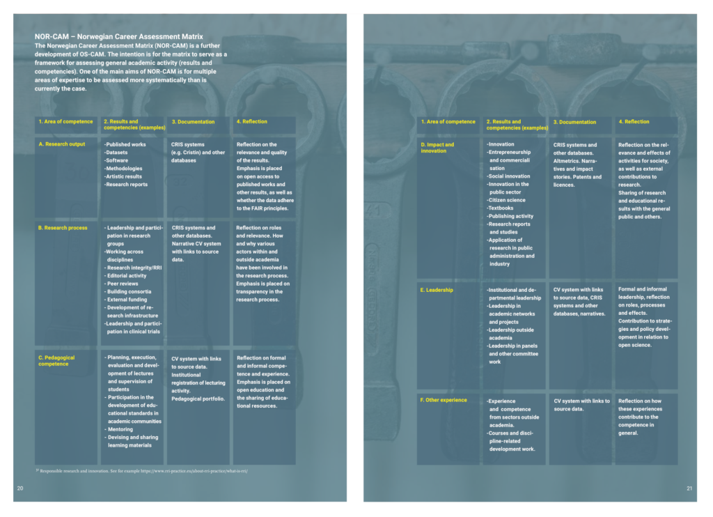 The Norwegian Career Assessment Matrix (NOR-CAM).