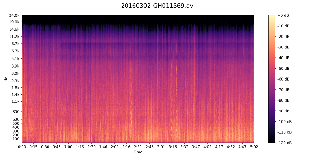 A spectrogram of the sound of kayaking.