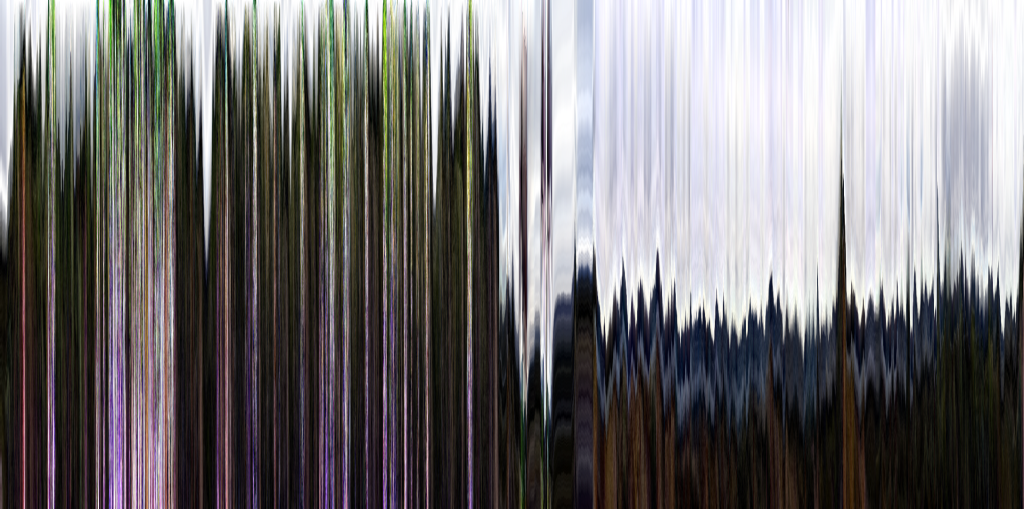 A horizontal videogram of the 25-minute walking sequence reveals the spatiotemporal differences in the recording: first walking upward facing the ground, then having a short break on the top, and then walking downward facing the scenery.