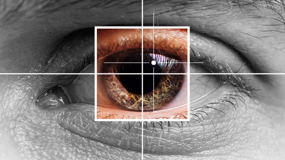 image from New MOOC: Pupillometry – The Eye as a Window Into the Mind